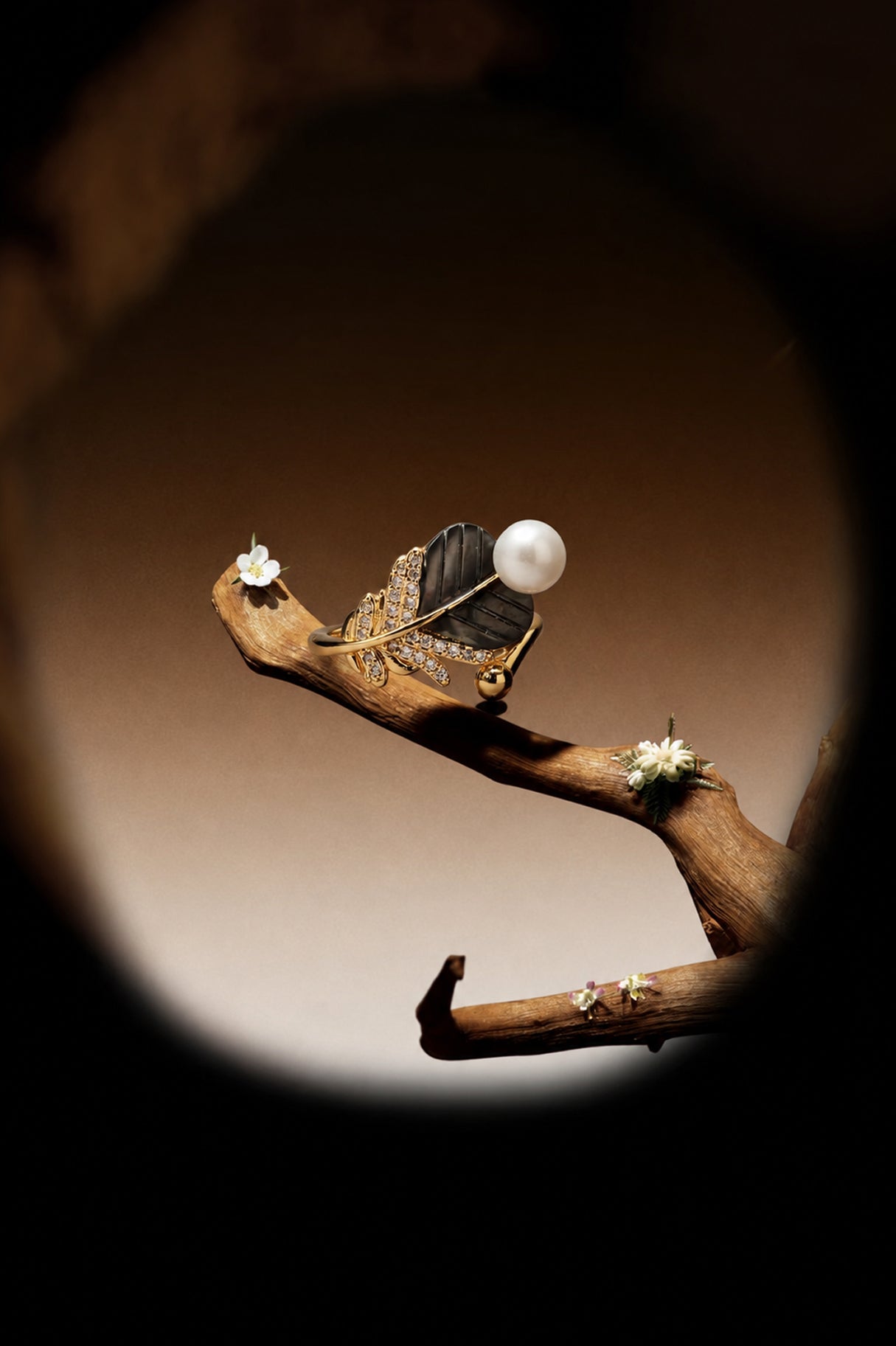 Aiko Tanaka Yoru no Ha pearl and dark leaf ring perched on a twisted branch, framed by an oval of warm light